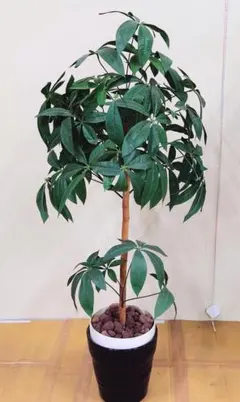 【美品★人気★引取希望】大型・人工観葉植物・フェイクグリーン★１１０センチ位のサムネイル