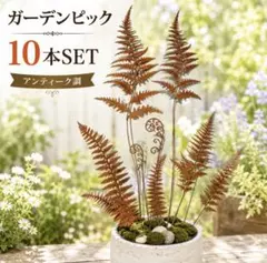 ガーデンピック 10本セット アイアン メタル シダ植物 ガーデニング 園芸