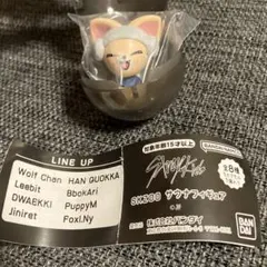 スキズ　skzoo フォクシニー　サウナ　ガチャ