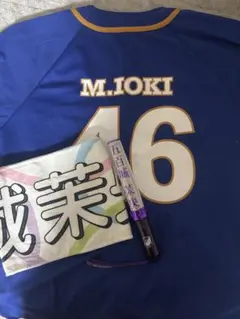 2026年最新】五百城茉央 ペンライトの人気アイテム - メルカリ