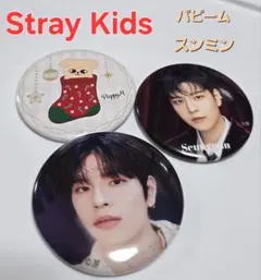 Stray Kids 缶バッジ スンミン パピーム