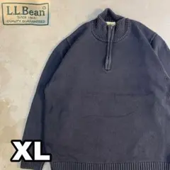 7WE368 L.L.Bean ハーフジップ コットンニット