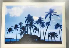 ハワイの海岸ロード海とヤシの木のシルエットアート
