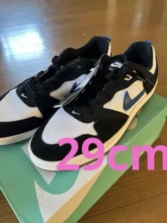 【NIKE】ナイキSB アリウープ CJ0882-104 29cm 新品タグ付き