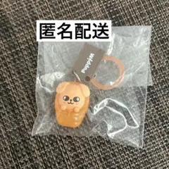 2026年最新】パピーム skzooの人気アイテム - メルカリ