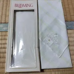 Item thumbnail for item 5b0f3a6f-5cc8-402f-8df4-623e2960def0