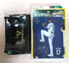 Item thumbnail for item 4286aef9-ad6b-4674-bf9e-577c72fb58b0