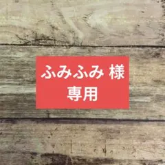 ふみふみ様専用　大臣マスク　ハンドメイド　インナーマスク　大人用　10枚セット