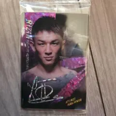 Item thumbnail for item 2d085302-d1e5-4bea-a836-c583312bf0ae