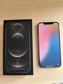 Apple iPhone12 ProMax 256GB