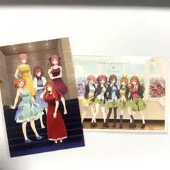 映画 五等分の花嫁　ポストカード2枚セット