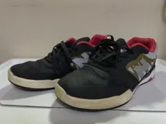 Item thumbnail for item 33b2eb4b-363c-4e78-894d-e29e2e30d060