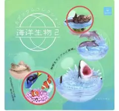 カプリウムコレクション海洋生物２　クオリア　ラッコ　クマノミ　セイウチ　おまけ付