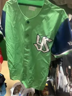 Item thumbnail for item 67671f92-fc88-4f20-9731-28a1a53a0b6d