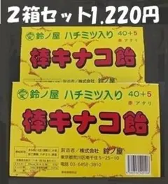 きなこ棒、鈴ノ屋棒きなこ飴当て２箱セット箱(45本×２箱)のサムネイル