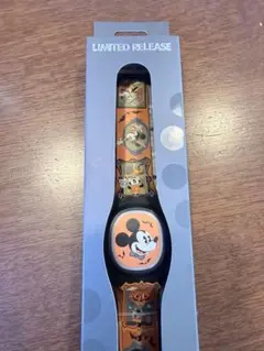 マジックバンドプラス　ディズニーランド　2本 マジックバンドプラス ディズニーランド 2本 マジックバンド