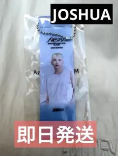 ジョシュア　セブチ SEVENTEEN フラッグキーホルダー ガチャ