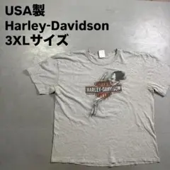 USA製 Harley-Davidson Tシャツ　エロT タトゥー　ハーレーT