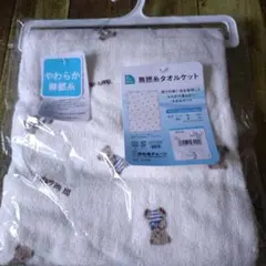 Item thumbnail for item 2e91d452-b79d-48cd-9cb7-529f8400147b