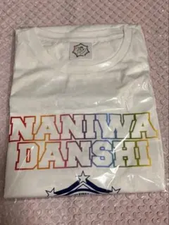 Item thumbnail for item 29bc9394-3837-43a3-9893-2f13784effff