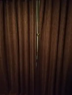 遮光カーテン ペイズリー柄 ダークパープル2枚　240cm