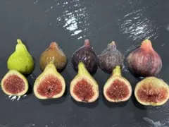 2026年最新】いちじく イチジクの人気アイテム - メルカリ