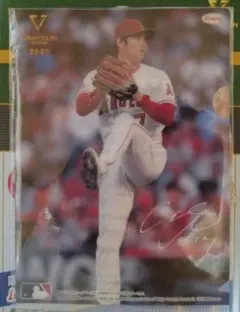 Item thumbnail for item 4624830b-f1ce-4b3c-a57d-8fa5facd4fe8