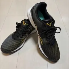 MIZUNO ミズノ ランニングシューズ 11GT220150 27.5センチ - メルカリ
