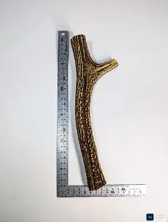 Item thumbnail for item 372784a4-9399-41ec-9961-1f37c70c8890