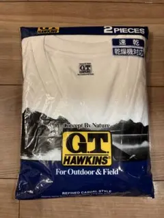 新品❁.*・゜G.T.HAWKINS メンズ VネックTシャツ 2枚組　LL