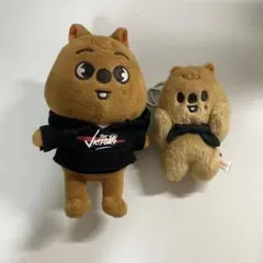 Stray kids スキズ skzoo ハン ハンクオッカ ぬいぐるみ - メルカリ