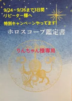 【ホロスコープ鑑定書】 リピーター様専用　りんちゃん様