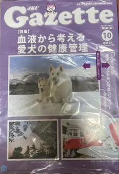 JKC Gazette 2026年10月号
