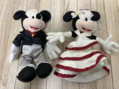 Paris パリディズニーランド購入　ミッキーミニー