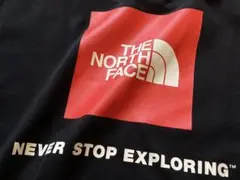 THE NORTH FACE ノースフェイス Tシャツ 12 ブラック ロゴ 黒
