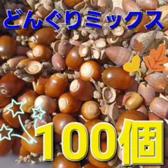どんぐりミックス　100個