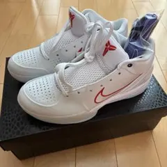 キ*ん様 Nike Kobe 4 Protro Draft Pack グリズリー - メルカリ