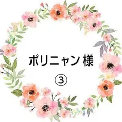 ポリニャン様 リクエスト 10点 まとめ商品