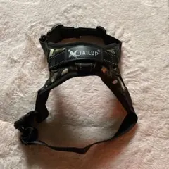 Item thumbnail for item 1414e975-0a4b-45b4-944f-0ba082a1078f