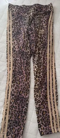 Item thumbnail for item 3ca61433-9fd8-4dcb-9f33-f627a996f81b