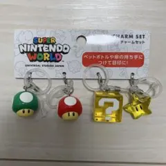 USJ限定 新品　めじるしアクセサリー