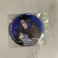 ワールドトリガー　ワーステ　B級ランク戦最終　ツリービレッジ　缶バッジ　東春秋