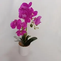 Item thumbnail for item 7ca20a04-2fe0-42fa-b679-95055cfa3b7e