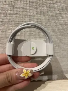 純正 lightningケーブル