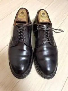 【極美品/純正ツリー付】Alden 990 コードバン プレーントゥ 8.5Eのサムネイル