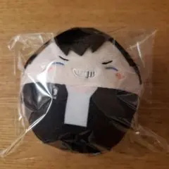 ハイキュー!! ふわコロりん Special 影山飛雄