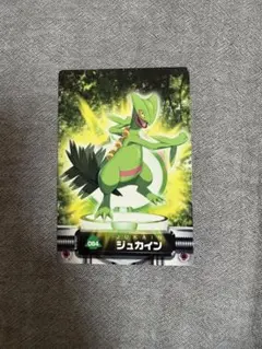 ポケモンカード ジュカイン 084のサムネイル