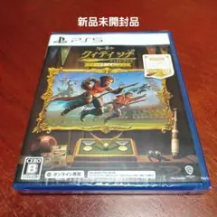 ＰＳ５ ハリーポッター：クィディッチチャンピオンズ（インターネット接続必須）