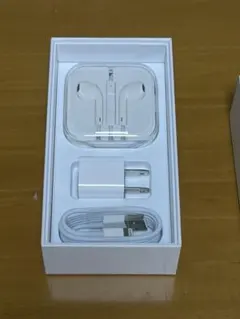 Apple EarPods & USBアダプタ lightningケーブルセット