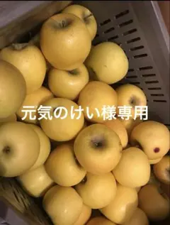 元気のけい様専用です